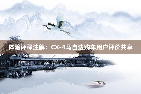 体验评释注解：CX-4马自达购车用户评价共享